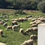 Villa Vivenda Rosa Albufeira Fontainhas (Faro)