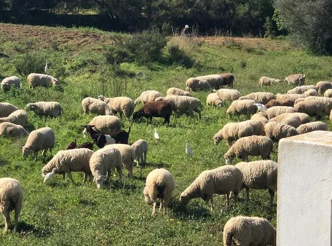 Villa Vivenda Rosa Albufeira Fontainhas (Faro)